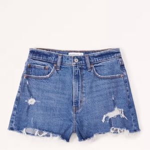 Abercrombie & Fitch Curve Love High Rise Mom Short Size 27 Worn Once